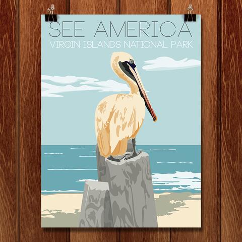 See the Virgin Islands