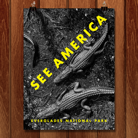 Shark Valley, Everglades National Park by Silvia Ros for See America - 1