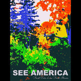 Forest Park by Jillian Chapman for See America - 3