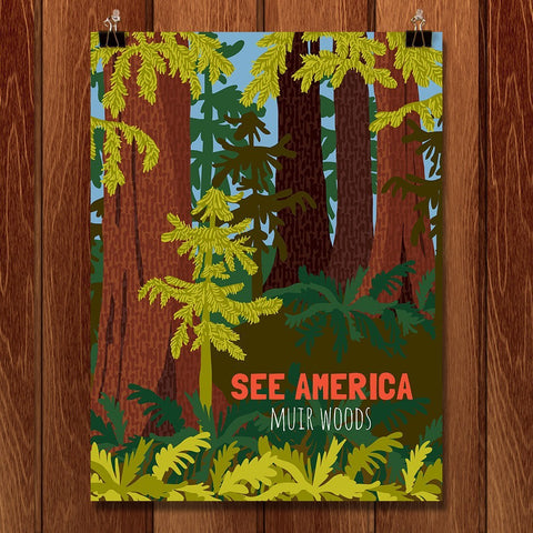 Muir Woods National Monument by Shayna Roosevelt for See America - 1